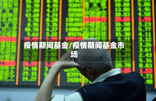 疫情期间基金/疫情期间基金市场