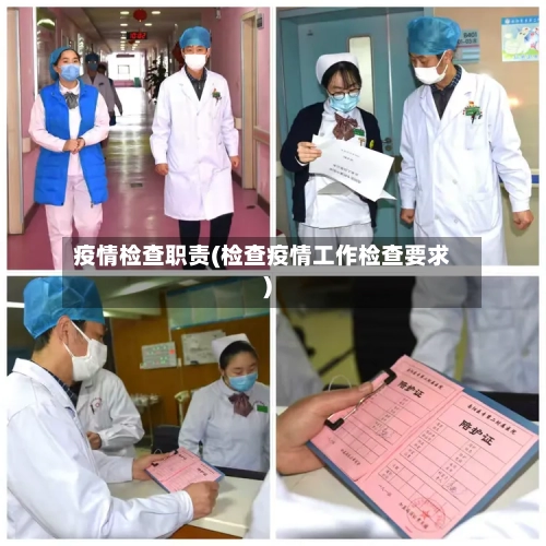 疫情检查职责(检查疫情工作检查要求)-第2张图片