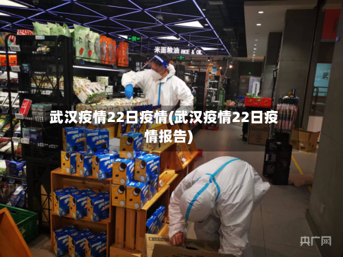 武汉疫情22日疫情(武汉疫情22日疫情报告)