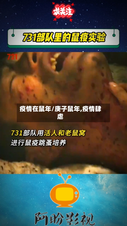 疫情在鼠年/庚子鼠年,疫情肆虐