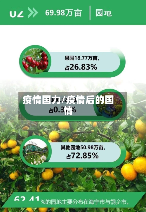 疫情国力/疫情后的国情