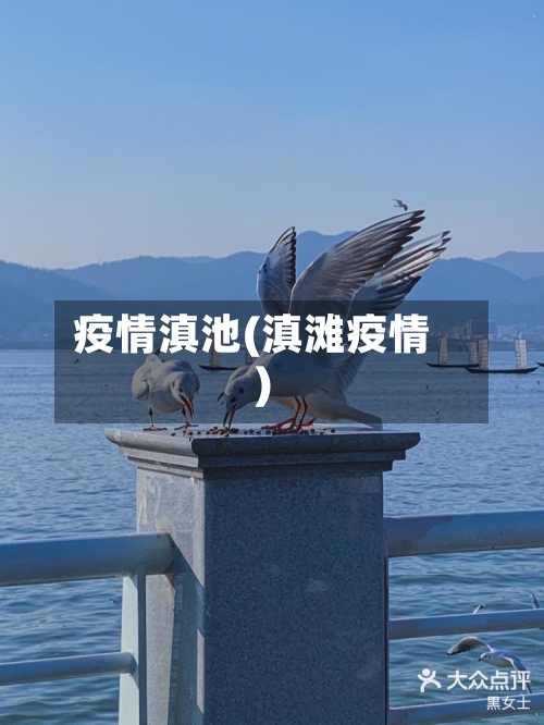 疫情滇池(滇滩疫情)