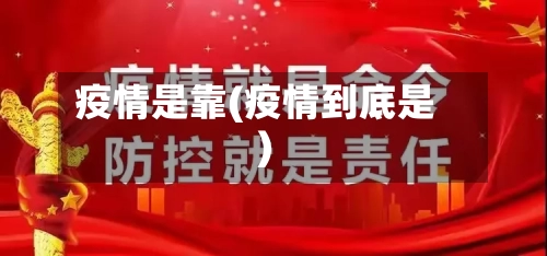 疫情是靠(疫情到底是)-第2张图片