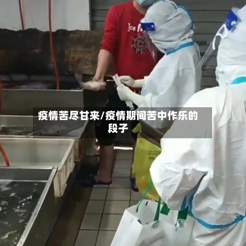 疫情苦尽甘来/疫情期间苦中作乐的段子