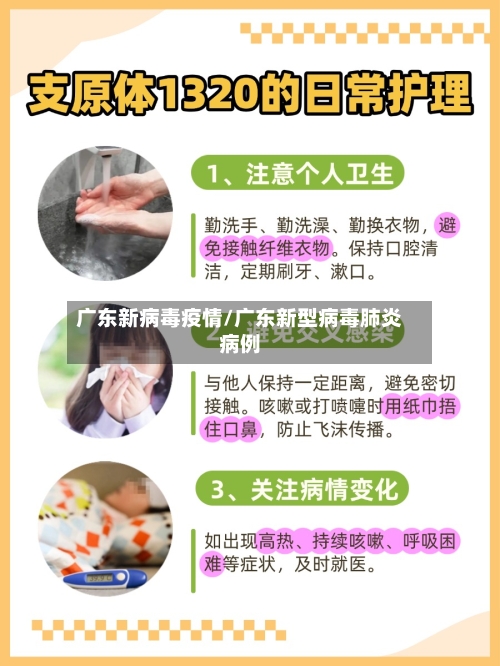 广东新病毒疫情/广东新型病毒肺炎病例