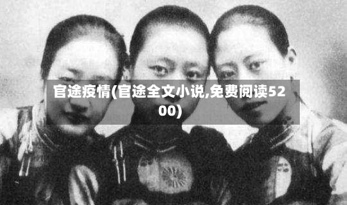 官途疫情(官途全文小说,免费阅读5200)