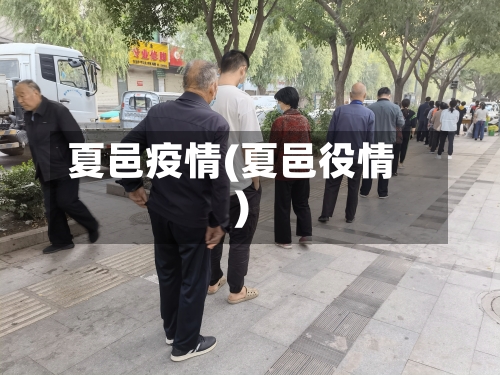 夏邑疫情(夏邑役情)