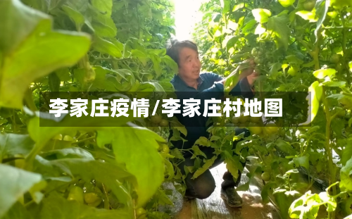 李家庄疫情/李家庄村地图-第2张图片