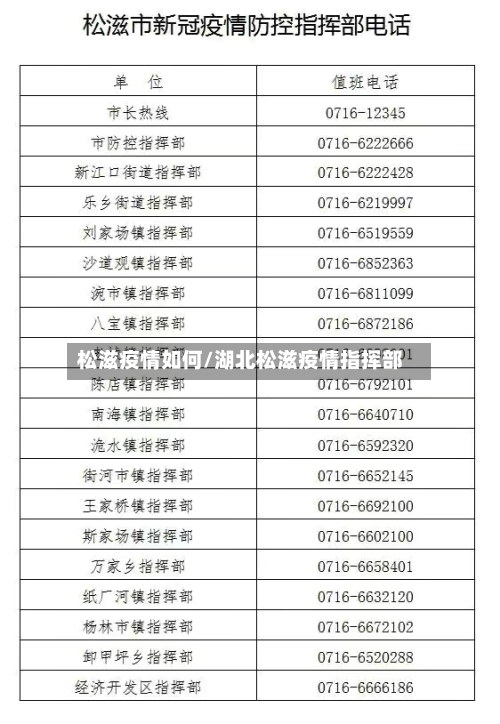 松滋疫情如何/湖北松滋疫情指挥部-第2张图片