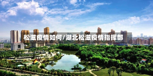 松滋疫情如何/湖北松滋疫情指挥部-第3张图片