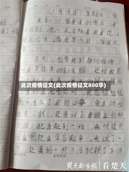 此次疫情征文(此次疫情征文800字)-第3张图片