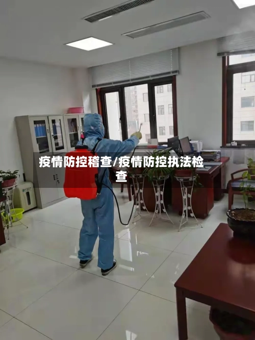疫情防控稽查/疫情防控执法检查