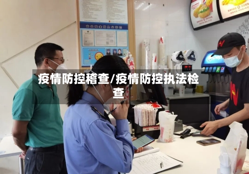 疫情防控稽查/疫情防控执法检查-第3张图片
