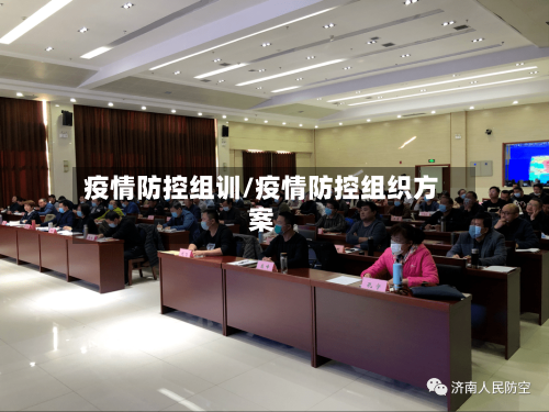 疫情防控组训/疫情防控组织方案-第2张图片