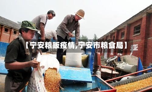 【宁安粮贩疫情,宁安市粮食局】