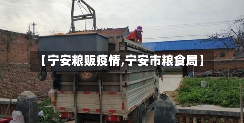 【宁安粮贩疫情,宁安市粮食局】-第2张图片