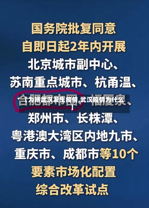 【为啥武汉发生疫情,武汉疫情为什么】-第2张图片
