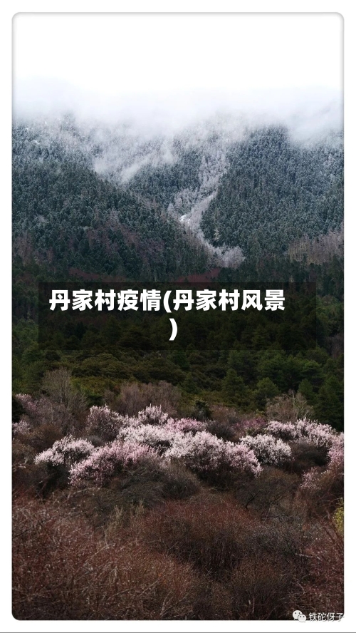 丹家村疫情(丹家村风景)-第2张图片