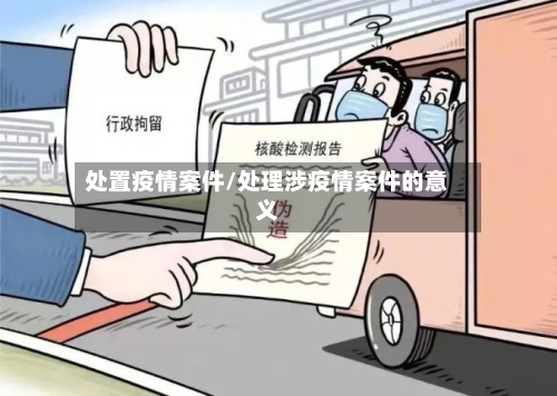 处置疫情案件/处理涉疫情案件的意义