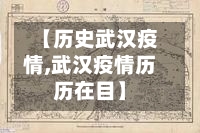 【历史武汉疫情,武汉疫情历历在目】-第3张图片