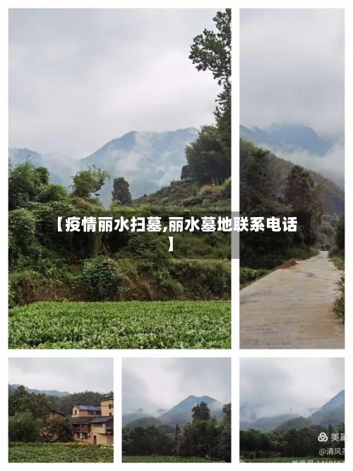 【疫情丽水扫墓,丽水墓地联系电话】