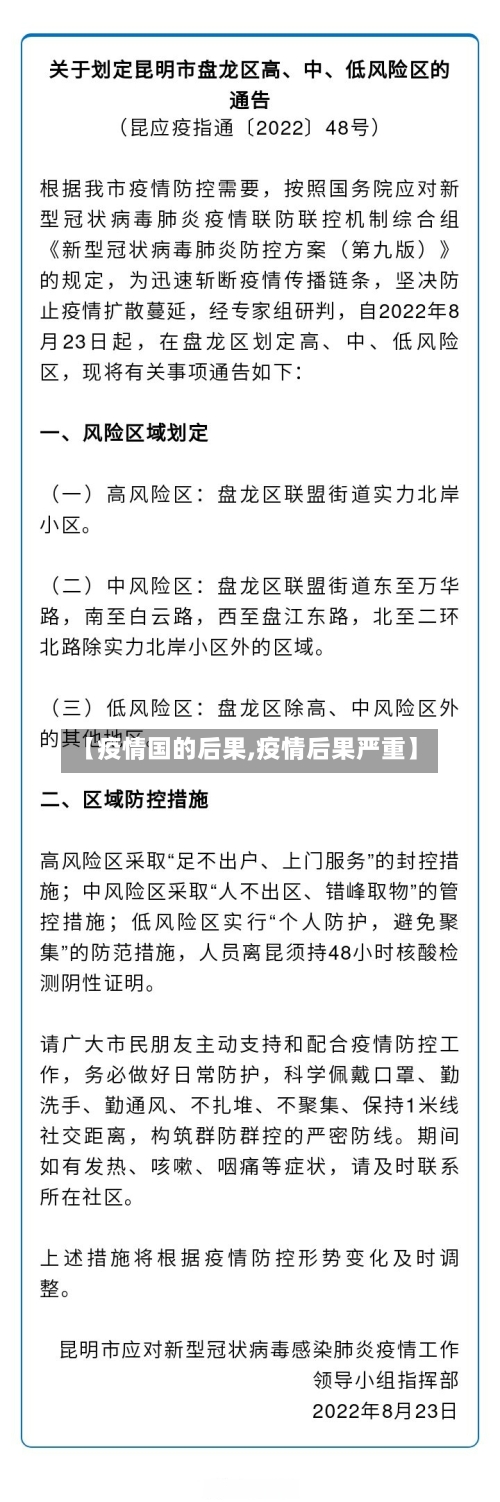 【疫情国的后果,疫情后果严重】-第2张图片