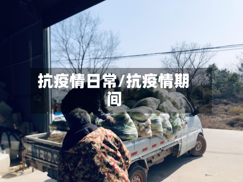 抗疫情日常/抗疫情期间-第2张图片
