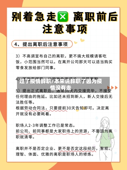 过了疫情辞职/本来说辞职了因为疫情没有走-第3张图片