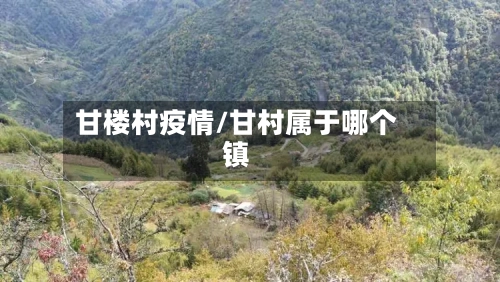 甘楼村疫情/甘村属于哪个镇-第3张图片