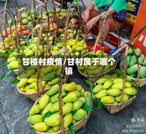 甘楼村疫情/甘村属于哪个镇