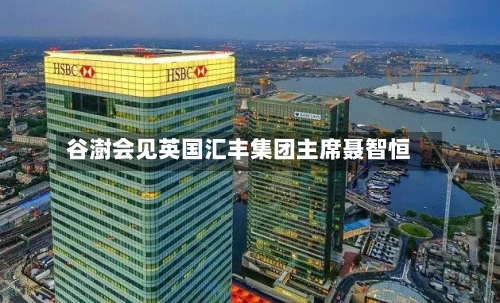 谷澍会见英国汇丰集团主席聂智恒