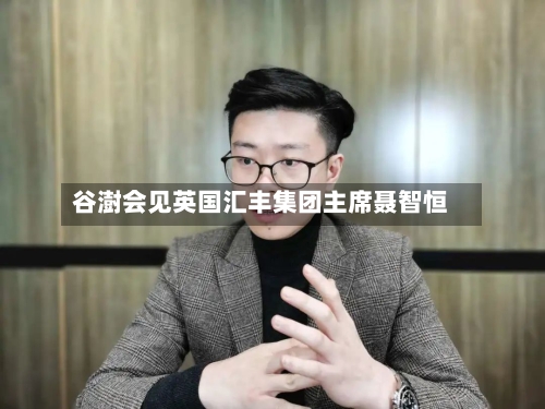 谷澍会见英国汇丰集团主席聂智恒-第2张图片