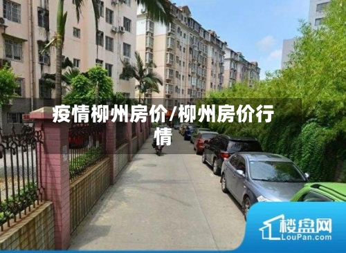 疫情柳州房价/柳州房价行情-第2张图片