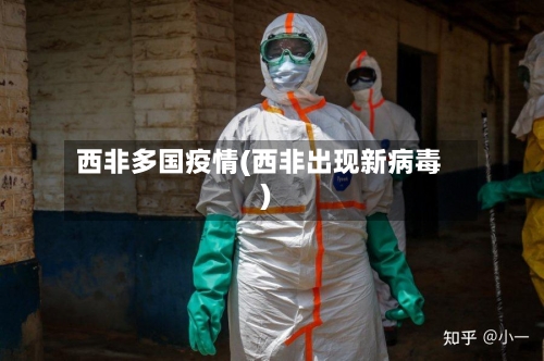 西非多国疫情(西非出现新病毒)-第2张图片