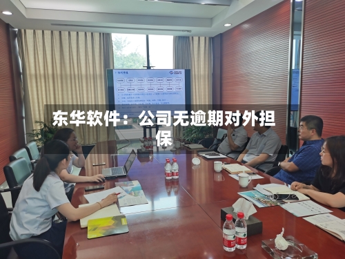 东华软件：公司无逾期对外担保