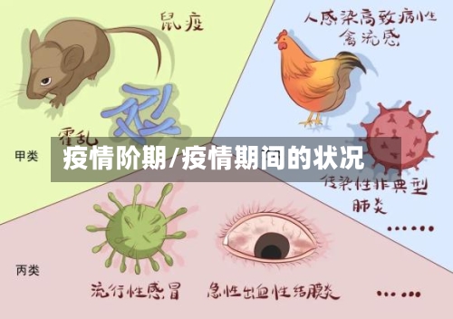 疫情阶期/疫情期间的状况-第3张图片