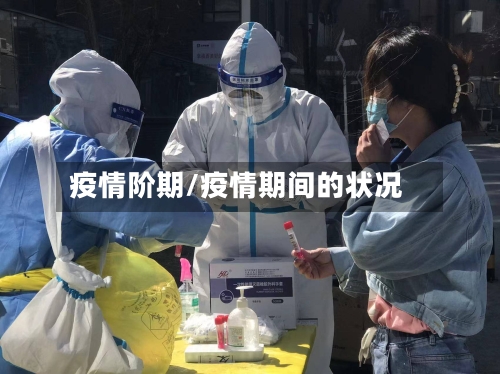 疫情阶期/疫情期间的状况