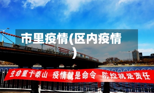 市里疫情(区内疫情)