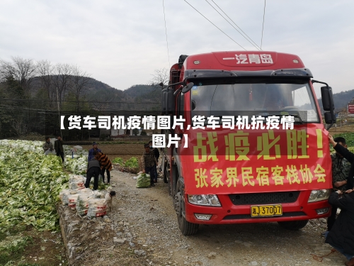 【货车司机疫情图片,货车司机抗疫情图片】-第3张图片