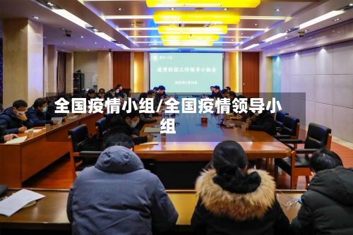 全国疫情小组/全国疫情领导小组