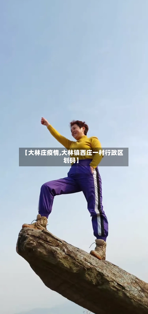 【大林庄疫情,大林镇西庄一村行政区划码】-第3张图片