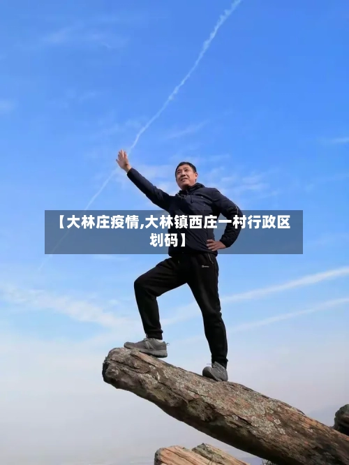 【大林庄疫情,大林镇西庄一村行政区划码】