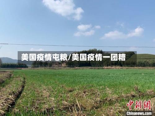 美国疫情屯粮/美国疫情一团糟