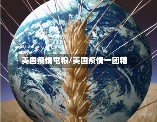 美国疫情屯粮/美国疫情一团糟-第2张图片