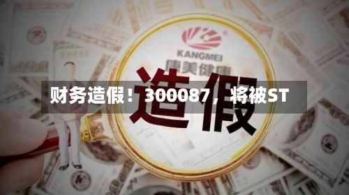 财务造假！300087，将被ST
