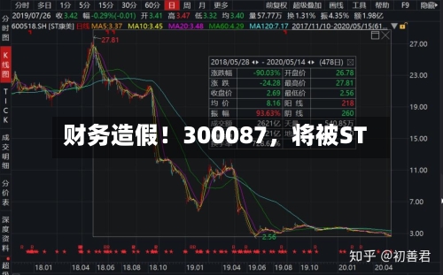 财务造假！300087，将被ST-第2张图片