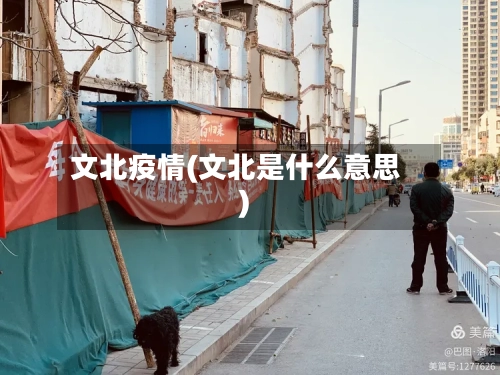文北疫情(文北是什么意思)-第2张图片