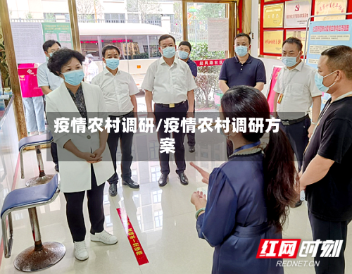 疫情农村调研/疫情农村调研方案