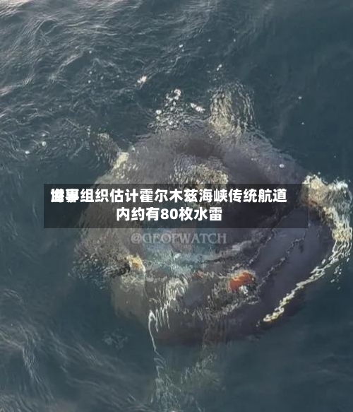 世界
海事组织估计霍尔木兹海峡传统航道内约有80枚水雷-第2张图片