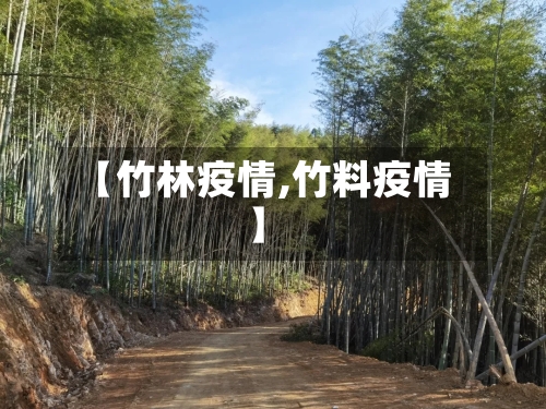 【竹林疫情,竹料疫情】